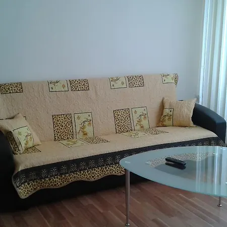 Διαμέρισμα Apartament Sala Palatului *