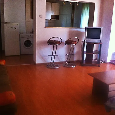 Appartement Apartament Sala Palatului *
